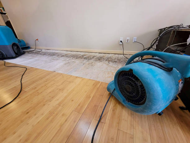 Professional Ceiling Water Damage Repair technician working in Myrtle Point, OR